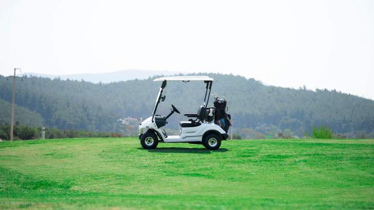 What are the PILOTCAR electrical golf car models?